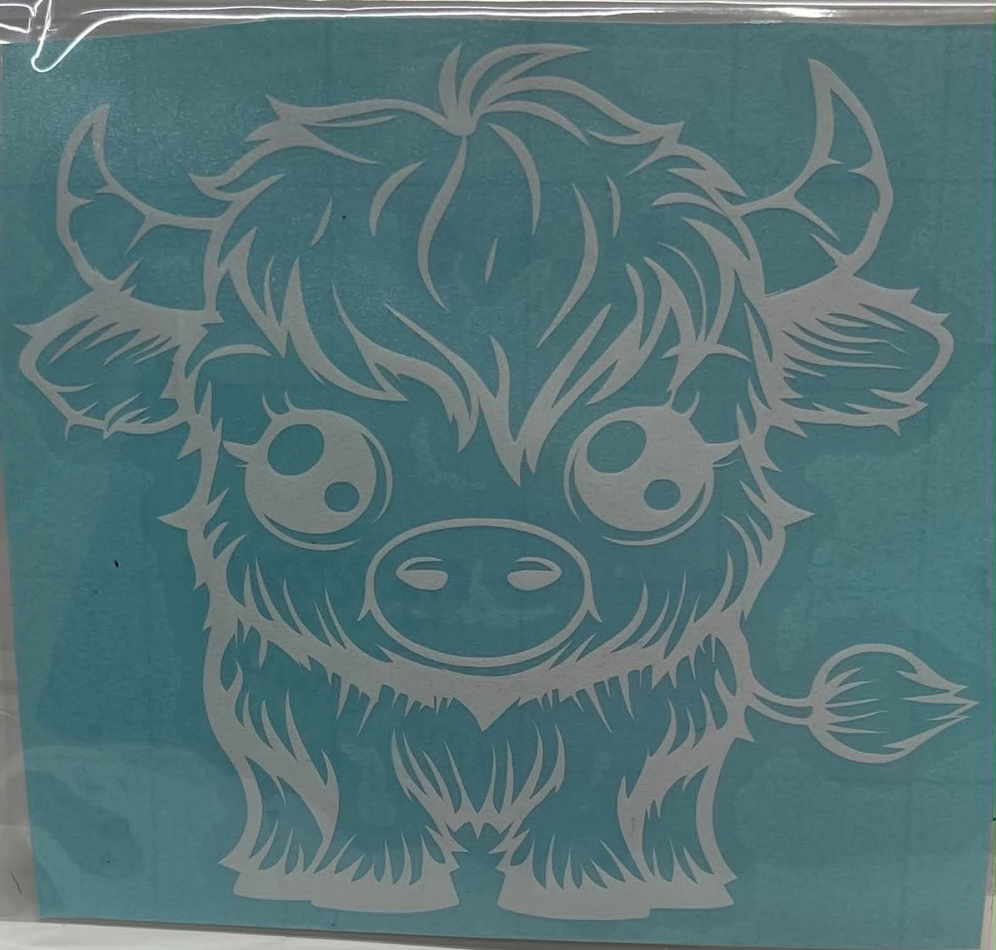 HIGHLAND COW