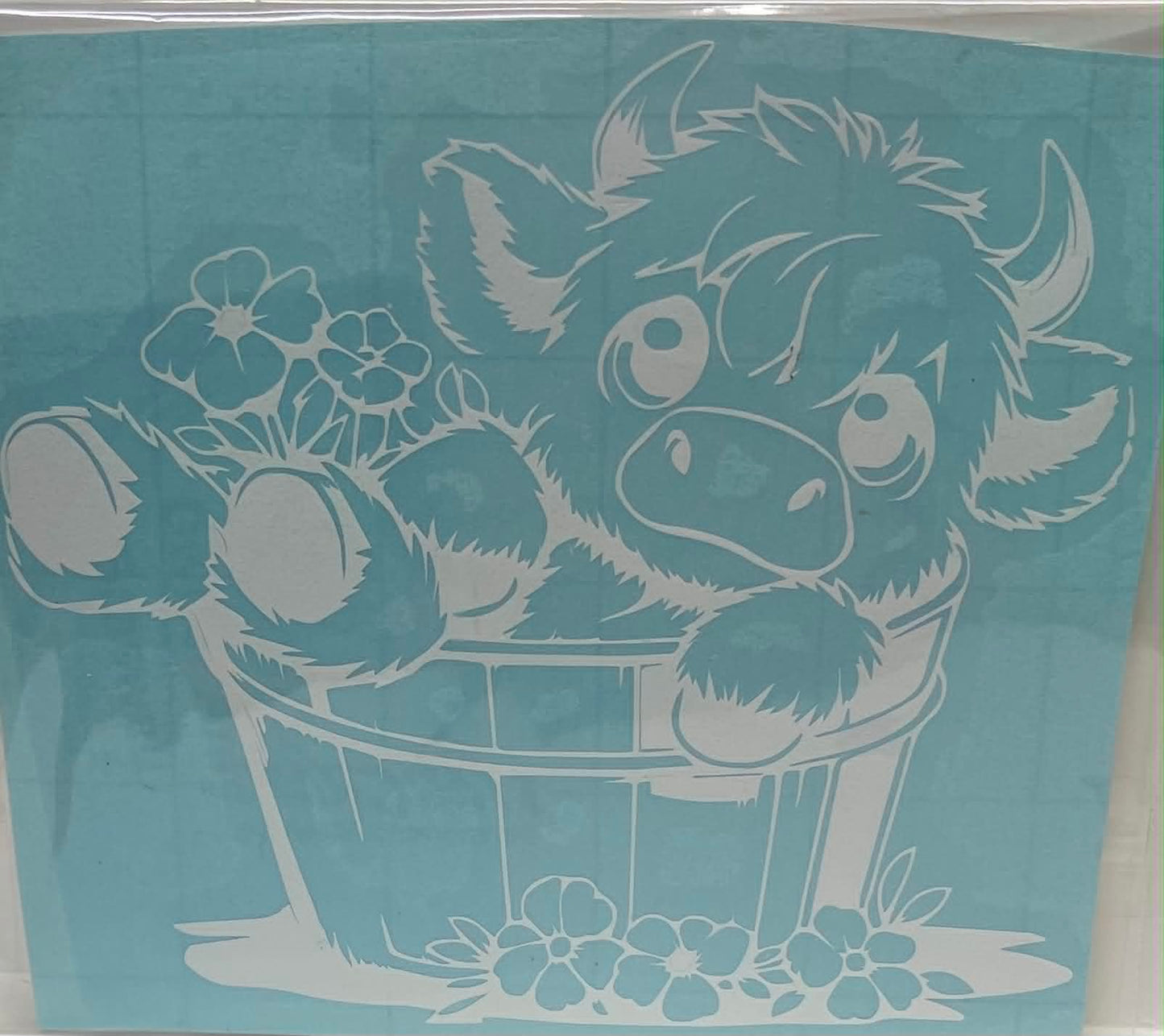 COW IN BUCKET