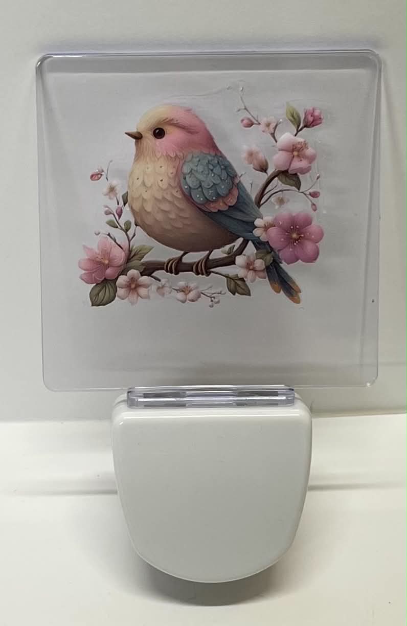 BLUE AND PINK BIRD ON BRANCH