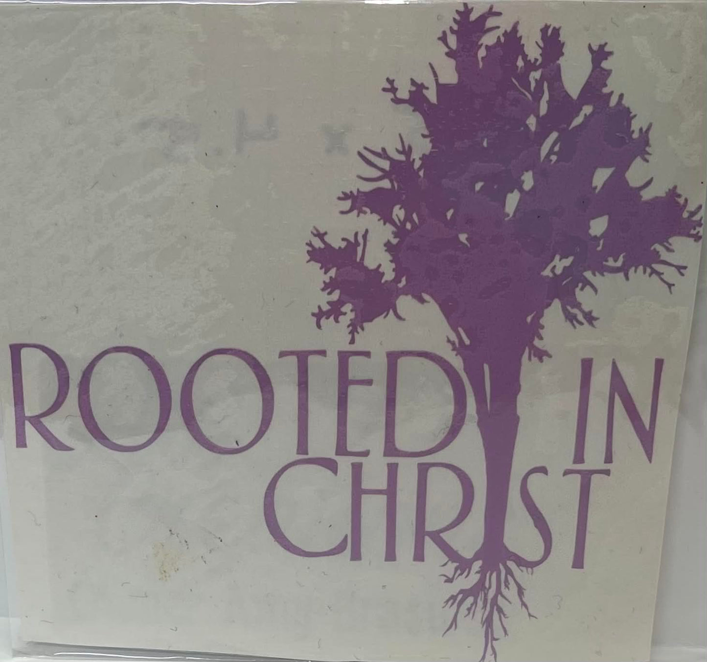 ROOTED IN CHRIST