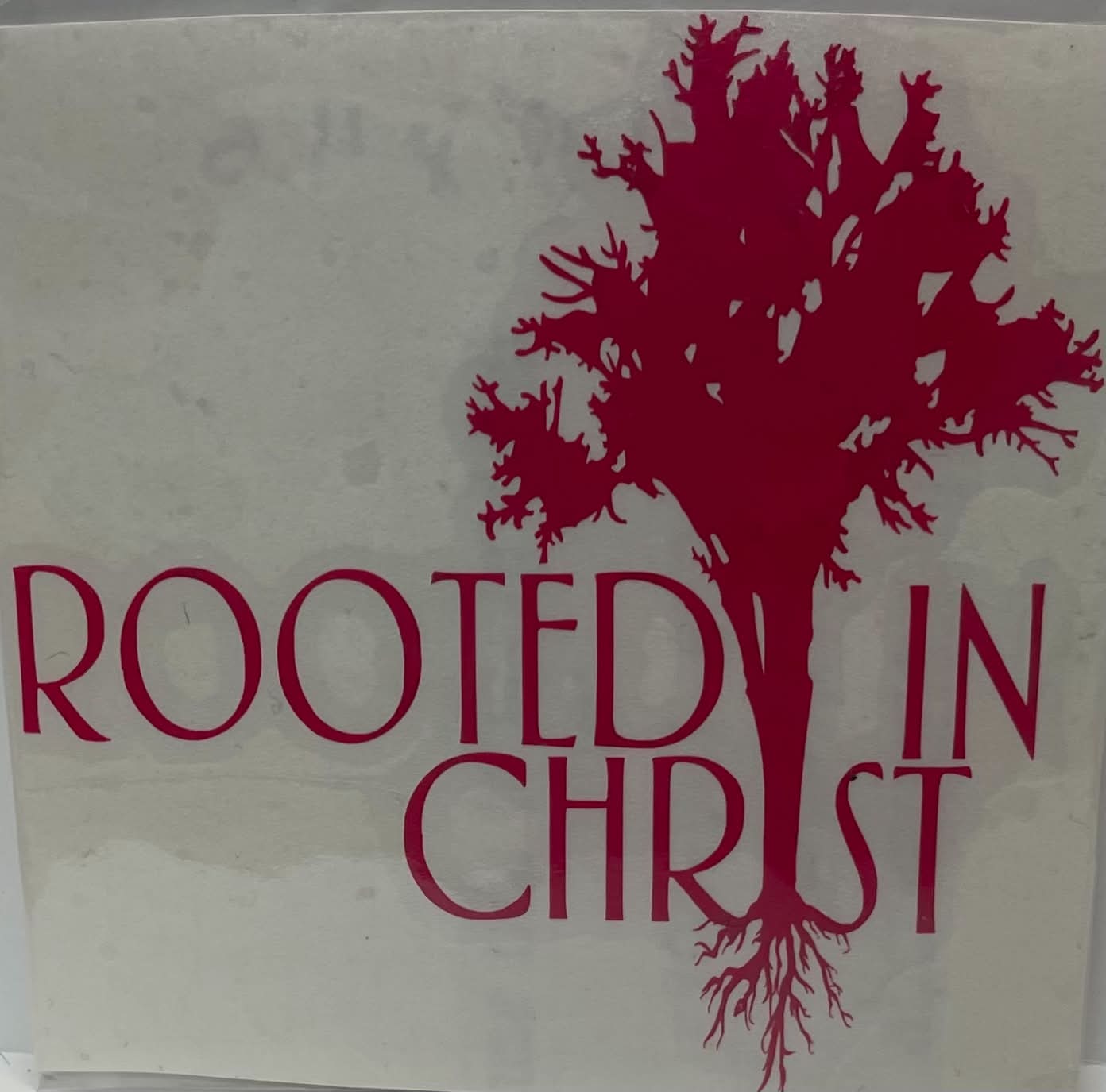 ROOTED IN CHRIST