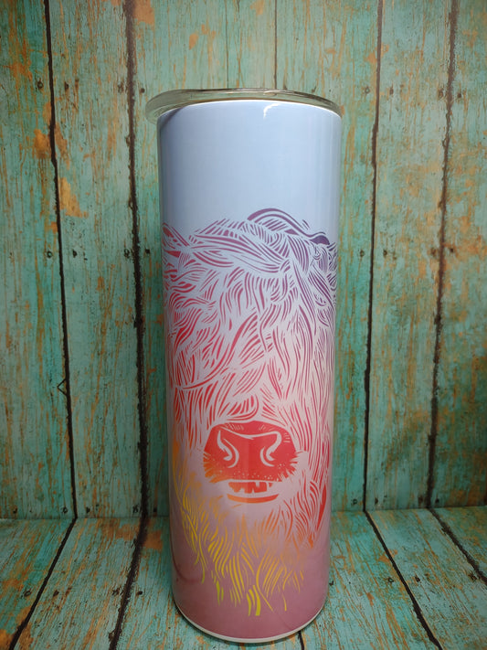 Ombre Highland Cow