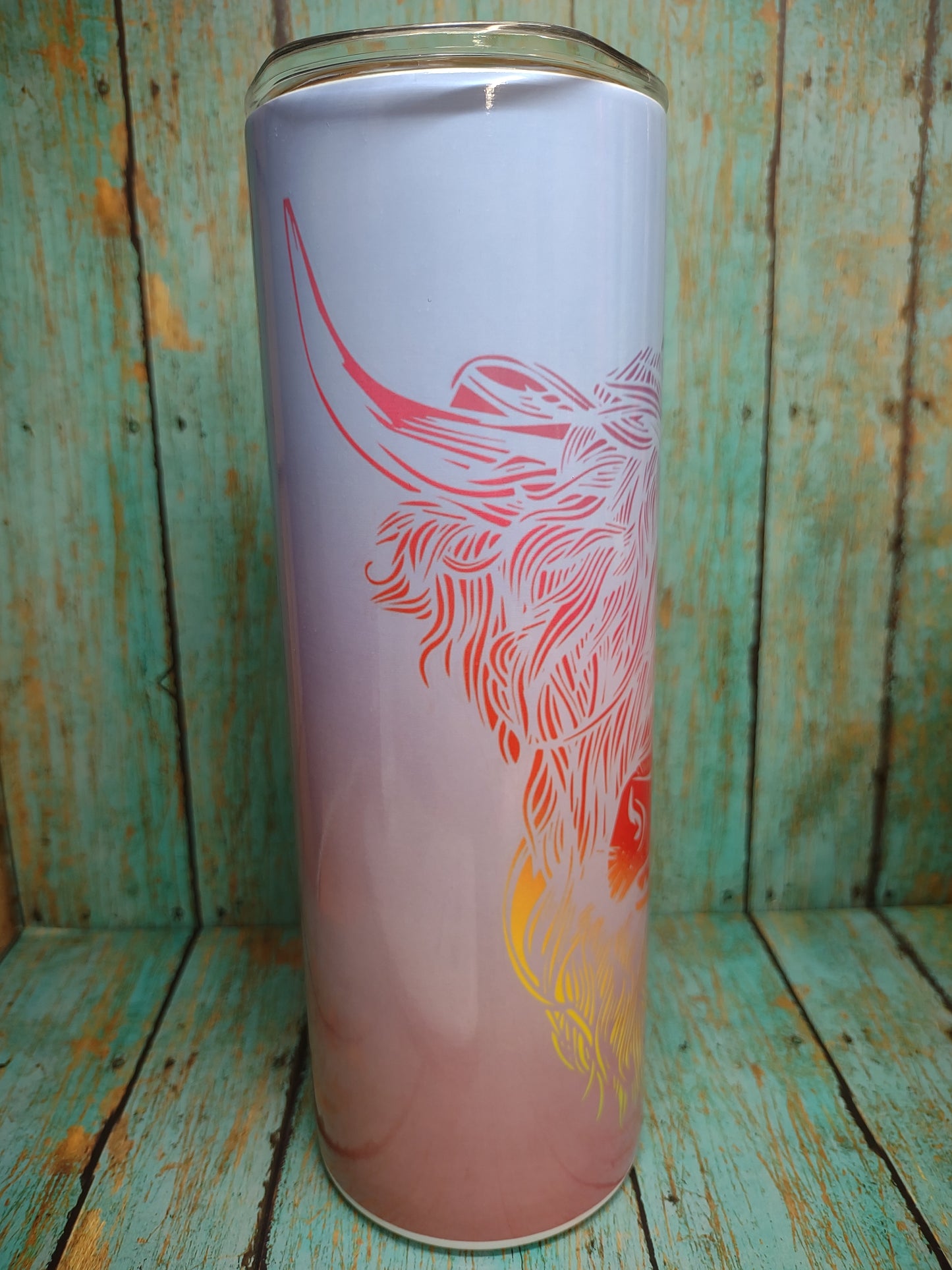 Ombre Highland Cow